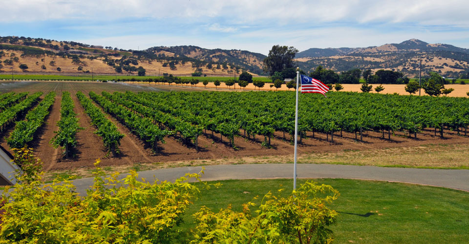 Suisun Valley Inn